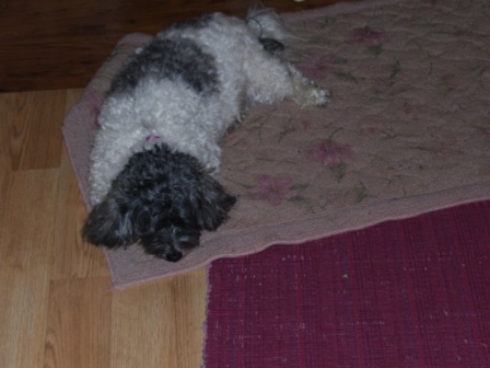 Waybac.2006.12.gad24