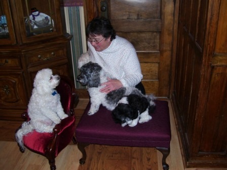 Waybac.2006.12.gad33