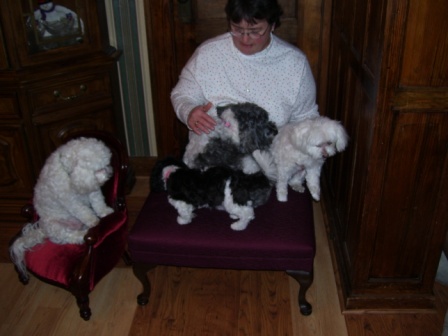 Waybac.2006.12.gad44