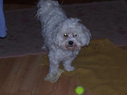 Waybac.2006.12.gad52