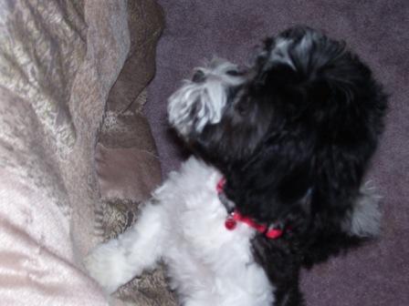 Waybac.2006.12.gad59