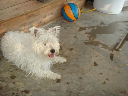 Waybac.2008.07.foj11