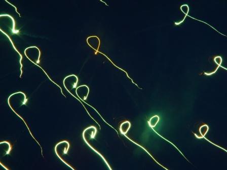 Waybac.2008.07.foj40